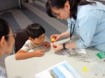 貝の標本を作りました