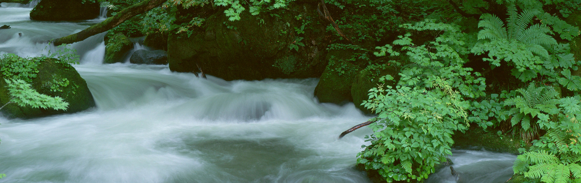 いであ環境・文化財団